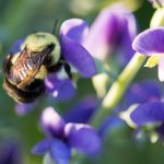 钻石赌场的辉煌历史与现代娱乐体验全解析 9hu3ks6kr