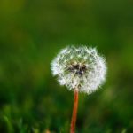 银河平台的未来趋势:科技如何塑造我们的生活与工作 y2onu109f