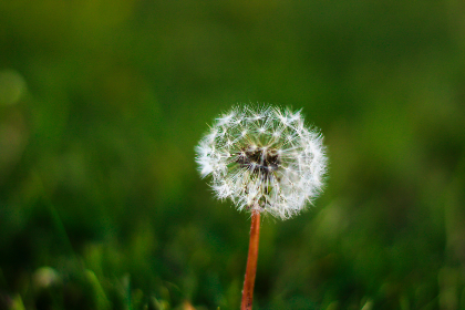 银河平台的未来趋势：科技如何塑造我们的生活与工作