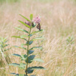 韦德退役后的生活:从球场到商业领域的转型 j8w668