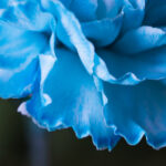 韦德国际的成功之道:如何在竞争激烈的市场中脱颖而出 s8qj1