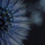 霸王娱乐:探索中国娱乐行业的新兴力量与发展趋势 wdp1u